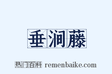 垂涧藤是什么意思的图片